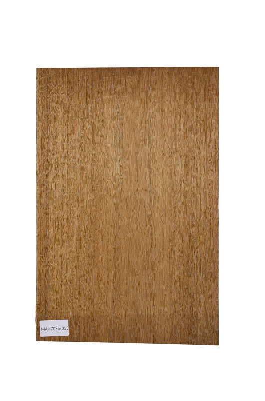 Body Mahagoni Swietenia, 1-tlg., Einzelstück #053